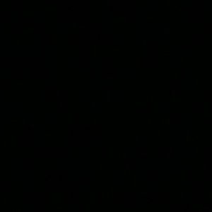 Meet your Posher, Gene